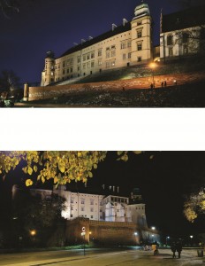 P 5 (Copy)